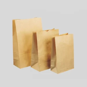 Brown Paper Bags